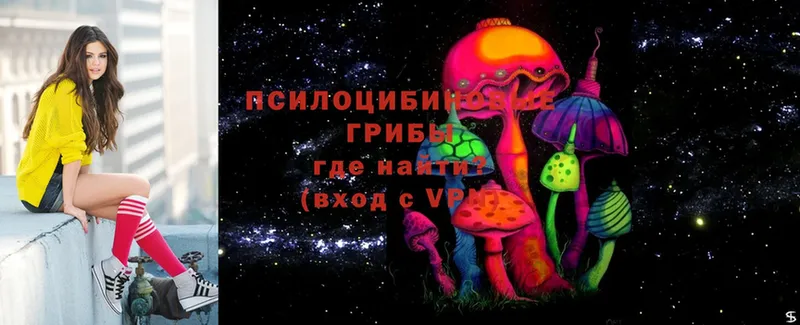 KRAKEN сайт  Макушино  Галлюциногенные грибы MAGIC MUSHROOMS 